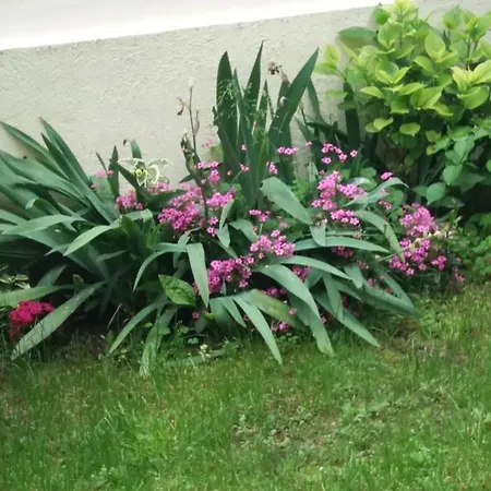 בית הארחה а. б. в. נסבר