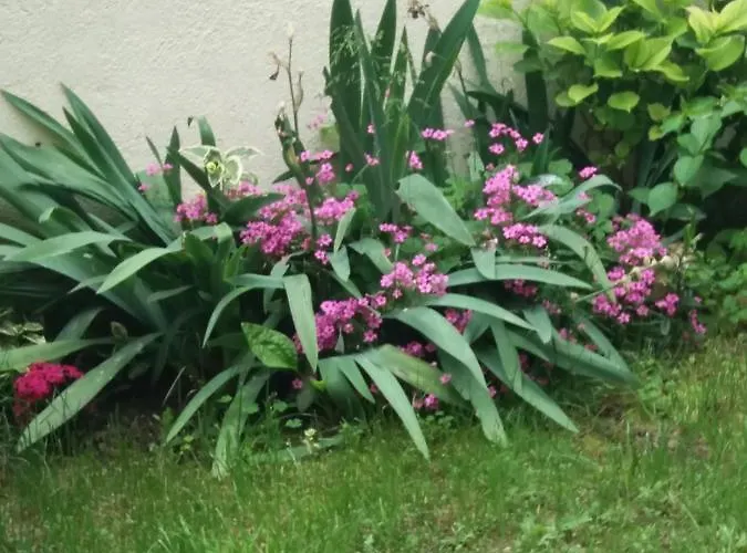 Vendégház а. б. в. Neszebar